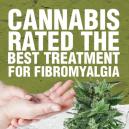 El Cannabis Calificado como el Mejor Tratamiento para la Fibromialgia