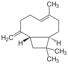 Cariofileno