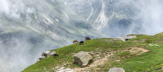 Valle de Manali, India