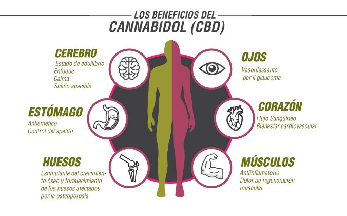 Beneficios del CBD