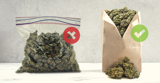 Las bolsas de papel eliminan la humedad de la marihuana, minimizando el riesgo de que se forme moho. 