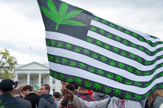 Un vistazo a NORML y su influencia sobre la reforma del cannabis