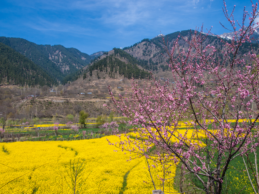 India Paisaje Hindu Kush