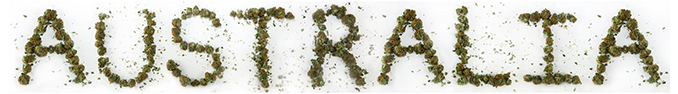 Australia legaliza el cultivo de marihuana terapéutica
