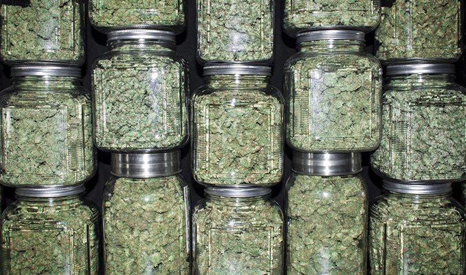 Las mejores formas de ocultar el olor a marihuana