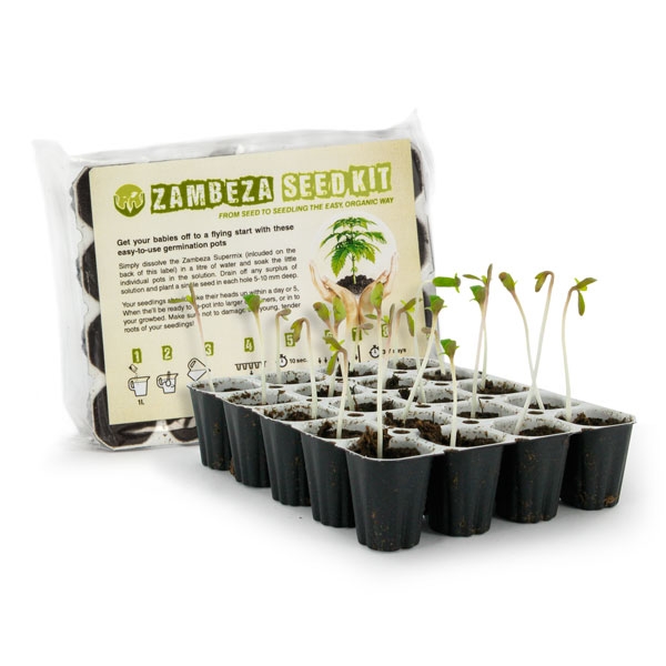 Zambeza Seedkit el mejor cannabis kit de semillas de germinación